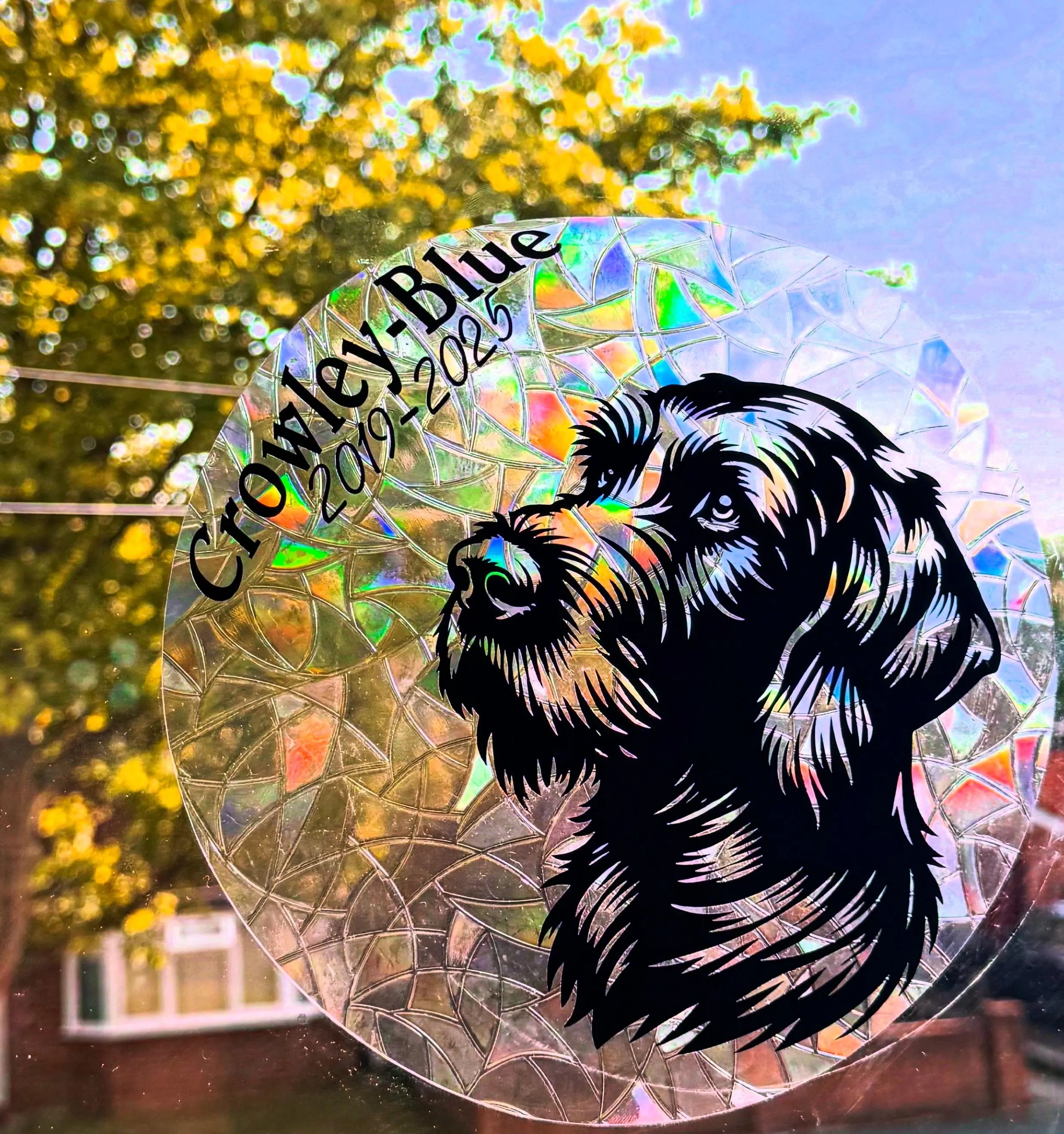 Custom Pet Rainbow Suncatcher – Memorial & Celebration of Your Furry Friend